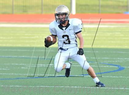 Thumbnail 1 in Little Elm @ Newman Smith photogallery.