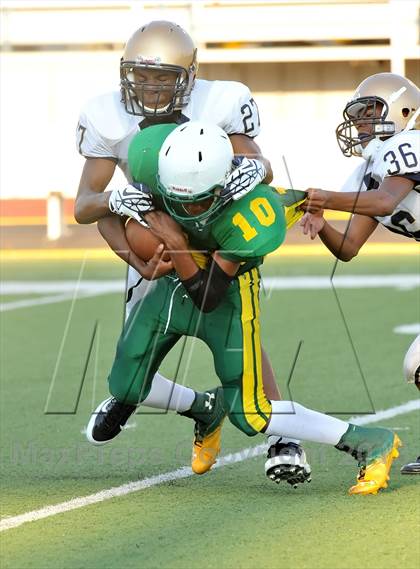 Thumbnail 1 in Little Elm @ Newman Smith photogallery.