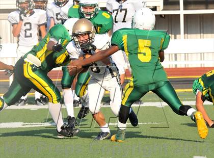 Thumbnail 3 in Little Elm @ Newman Smith photogallery.