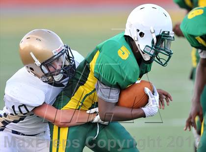Thumbnail 3 in Little Elm @ Newman Smith photogallery.