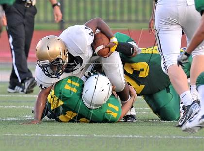 Thumbnail 1 in Little Elm @ Newman Smith photogallery.