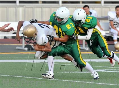 Thumbnail 2 in Little Elm @ Newman Smith photogallery.