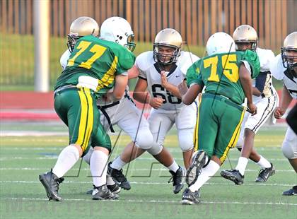 Thumbnail 1 in Little Elm @ Newman Smith photogallery.