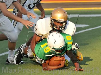 Thumbnail 1 in Little Elm @ Newman Smith photogallery.