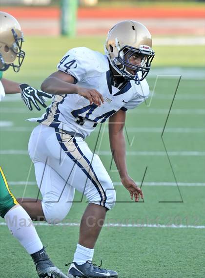 Thumbnail 1 in Little Elm @ Newman Smith photogallery.