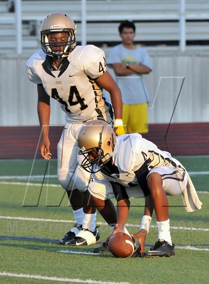 Thumbnail 3 in Little Elm @ Newman Smith photogallery.