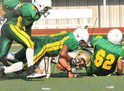 Thumbnail 1 in Little Elm @ Newman Smith photogallery.