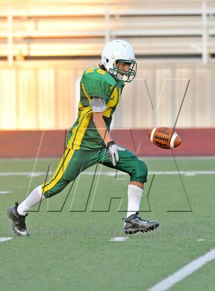 Thumbnail 1 in Little Elm @ Newman Smith photogallery.
