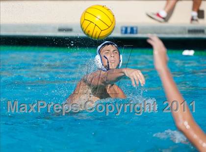 Thumbnail 3 in Nordhoff @ Cate photogallery.