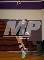 Photo from the gallery "Deer Valley @ Amador Valley (CIF NCS Division 1 Round 1)"