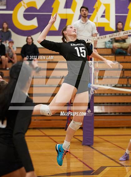 Thumbnail 2 in Deer Valley @ Amador Valley (CIF NCS Division 1 Round 1) photogallery.