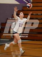 Photo from the gallery "Deer Valley @ Amador Valley (CIF NCS Division 1 Round 1)"