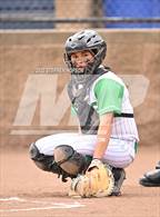 Photo from the gallery "St. Mary's @ Tracy"
