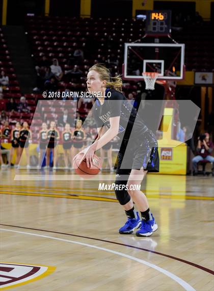 Thumbnail 2 in Chaparral vs. Mesquite (AIA 5A Final) photogallery.