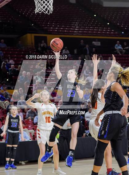 Thumbnail 2 in Chaparral vs. Mesquite (AIA 5A Final) photogallery.