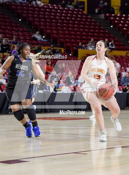 Thumbnail 3 in Chaparral vs. Mesquite (AIA 5A Final) photogallery.