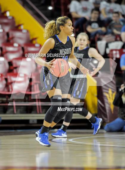 Thumbnail 1 in Chaparral vs. Mesquite (AIA 5A Final) photogallery.