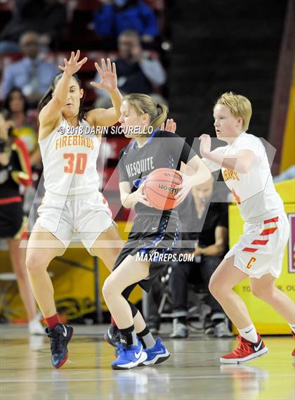 Thumbnail 3 in Chaparral vs. Mesquite (AIA 5A Final) photogallery.