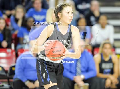 Thumbnail 3 in Chaparral vs. Mesquite (AIA 5A Final) photogallery.