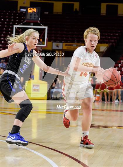 Thumbnail 3 in Chaparral vs. Mesquite (AIA 5A Final) photogallery.