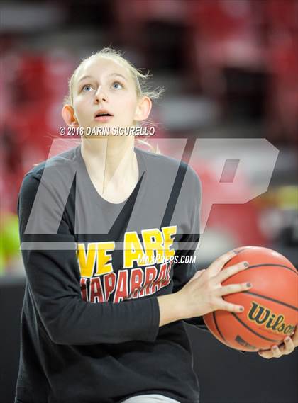 Thumbnail 2 in Chaparral vs. Mesquite (AIA 5A Final) photogallery.