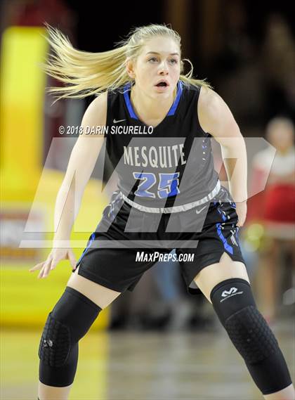 Thumbnail 3 in Chaparral vs. Mesquite (AIA 5A Final) photogallery.