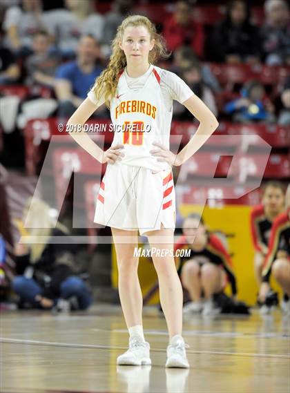 Thumbnail 3 in Chaparral vs. Mesquite (AIA 5A Final) photogallery.