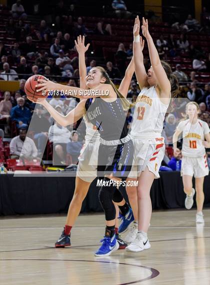 Thumbnail 2 in Chaparral vs. Mesquite (AIA 5A Final) photogallery.