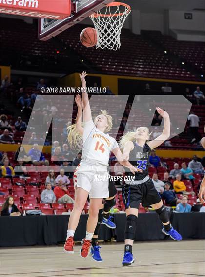 Thumbnail 3 in Chaparral vs. Mesquite (AIA 5A Final) photogallery.
