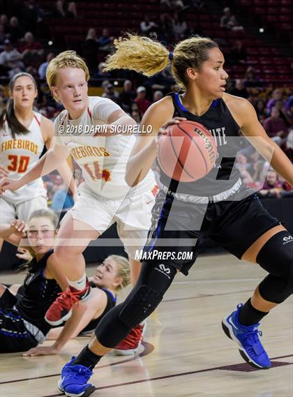 Thumbnail 3 in Chaparral vs. Mesquite (AIA 5A Final) photogallery.