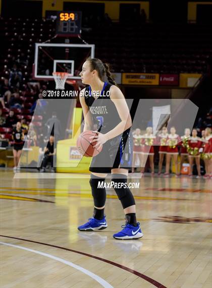 Thumbnail 1 in Chaparral vs. Mesquite (AIA 5A Final) photogallery.