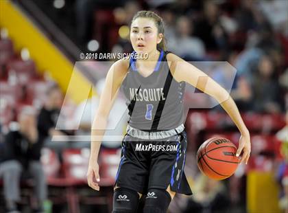 Thumbnail 1 in Chaparral vs. Mesquite (AIA 5A Final) photogallery.