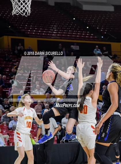 Thumbnail 1 in Chaparral vs. Mesquite (AIA 5A Final) photogallery.