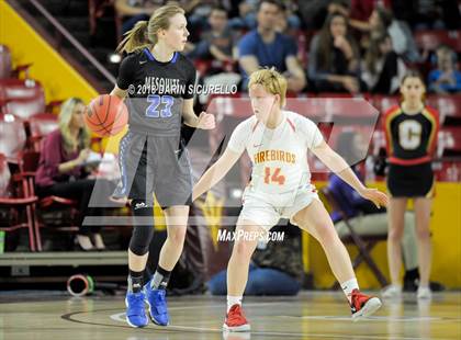 Thumbnail 3 in Chaparral vs. Mesquite (AIA 5A Final) photogallery.