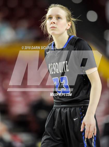 Thumbnail 3 in Chaparral vs. Mesquite (AIA 5A Final) photogallery.