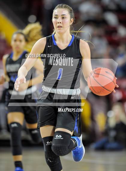 Thumbnail 3 in Chaparral vs. Mesquite (AIA 5A Final) photogallery.