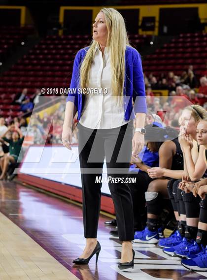 Thumbnail 1 in Chaparral vs. Mesquite (AIA 5A Final) photogallery.
