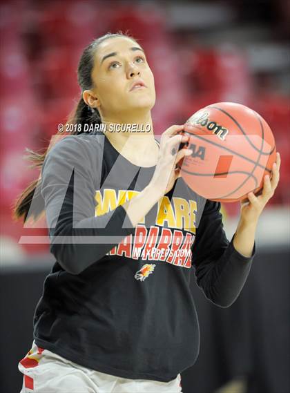 Thumbnail 1 in Chaparral vs. Mesquite (AIA 5A Final) photogallery.