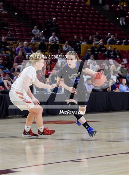 Thumbnail 1 in Chaparral vs. Mesquite (AIA 5A Final) photogallery.