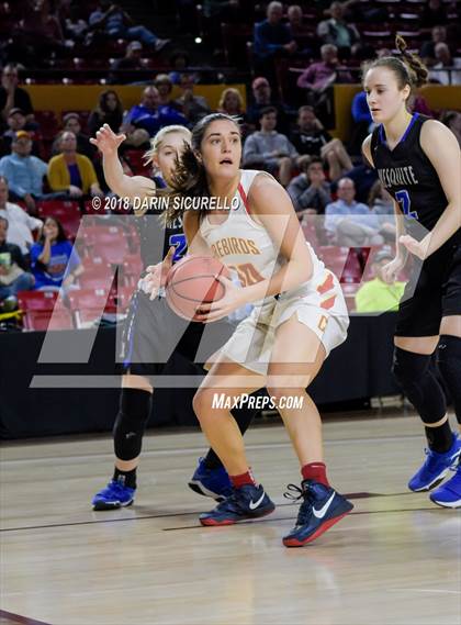 Thumbnail 2 in Chaparral vs. Mesquite (AIA 5A Final) photogallery.