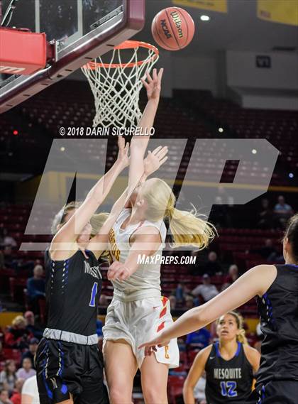 Thumbnail 3 in Chaparral vs. Mesquite (AIA 5A Final) photogallery.