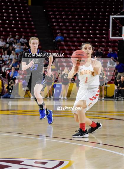 Thumbnail 1 in Chaparral vs. Mesquite (AIA 5A Final) photogallery.