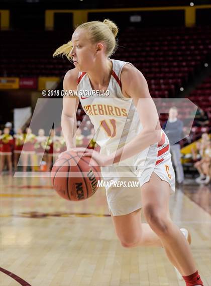 Thumbnail 3 in Chaparral vs. Mesquite (AIA 5A Final) photogallery.