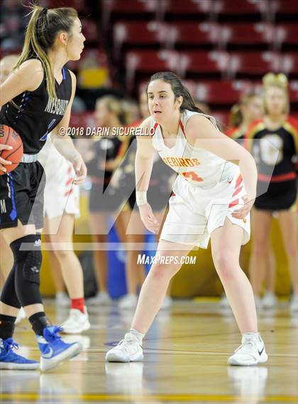 Thumbnail 1 in Chaparral vs. Mesquite (AIA 5A Final) photogallery.