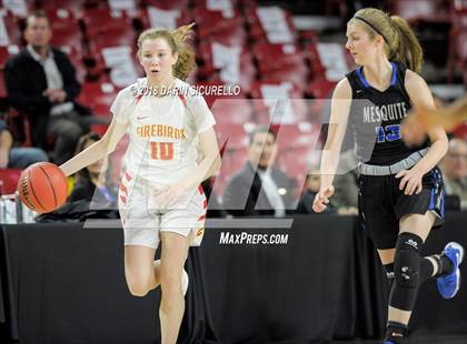 Thumbnail 1 in Chaparral vs. Mesquite (AIA 5A Final) photogallery.