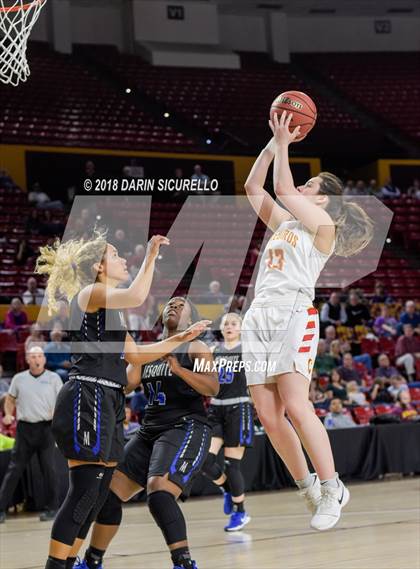 Thumbnail 2 in Chaparral vs. Mesquite (AIA 5A Final) photogallery.