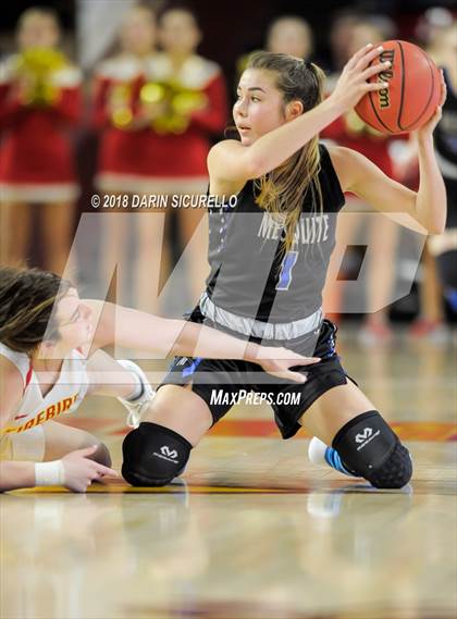 Thumbnail 1 in Chaparral vs. Mesquite (AIA 5A Final) photogallery.