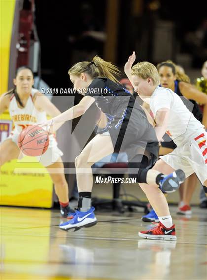Thumbnail 2 in Chaparral vs. Mesquite (AIA 5A Final) photogallery.