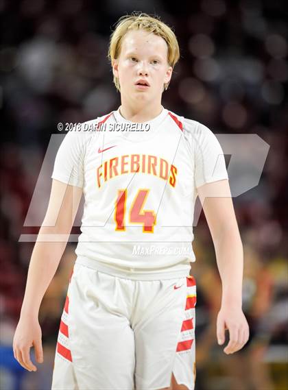 Thumbnail 3 in Chaparral vs. Mesquite (AIA 5A Final) photogallery.