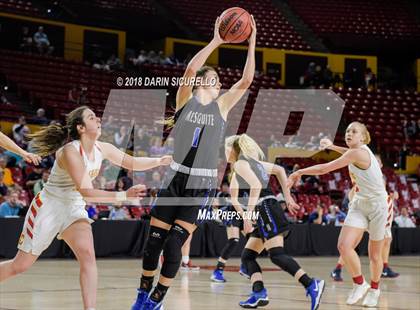 Thumbnail 3 in Chaparral vs. Mesquite (AIA 5A Final) photogallery.